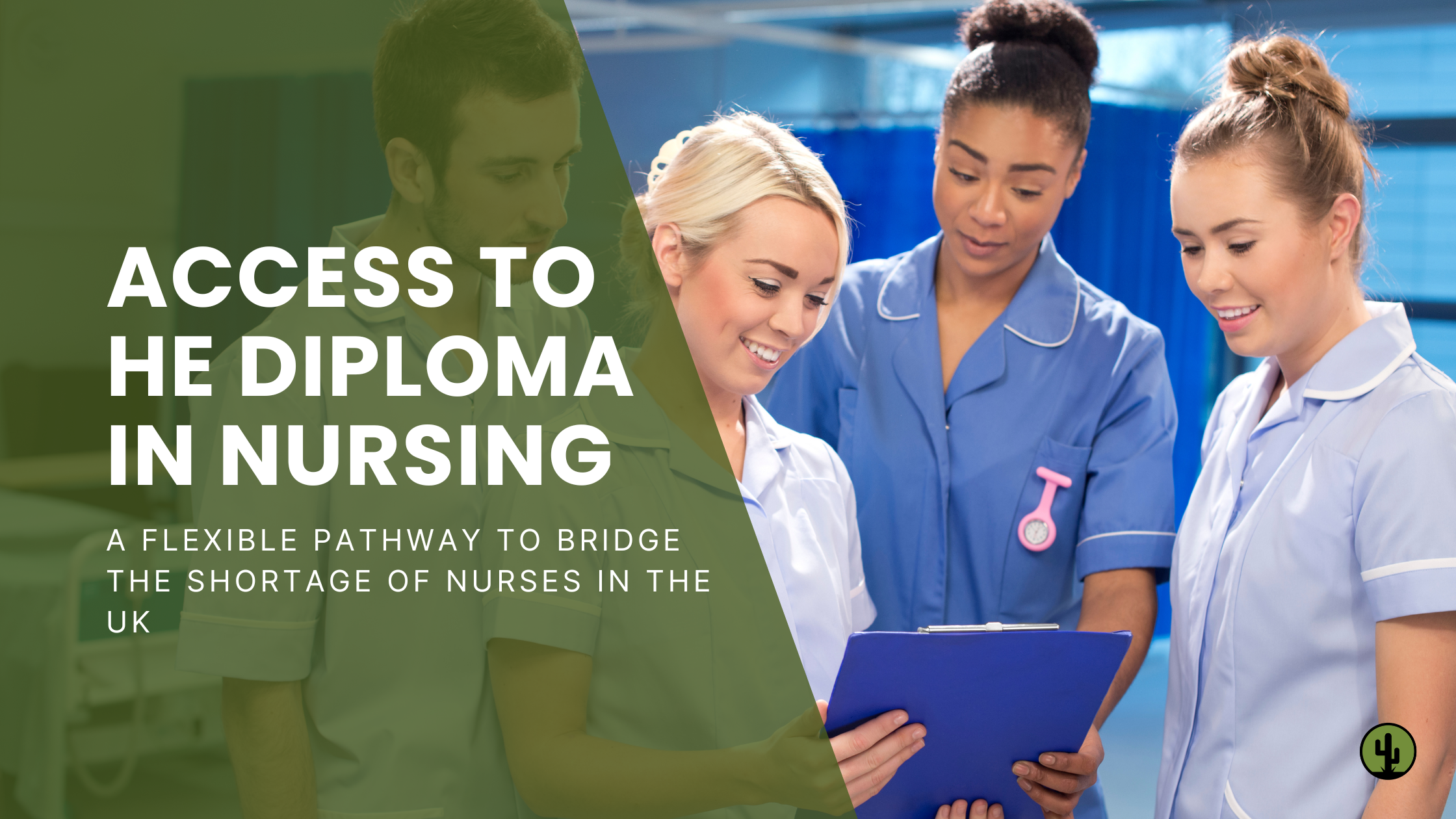 A team of nurses learning in a hospital setting